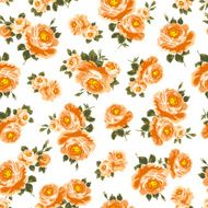 repetition of the rose N81