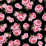 repetition of the rose N82