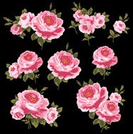 decoration of rose N25