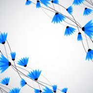 Abstract nature background Blue cornflowers N14