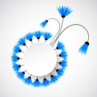 Abstract nature background Blue cornflowers N15