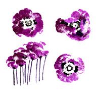Collection of watercolor poppy flowers N12