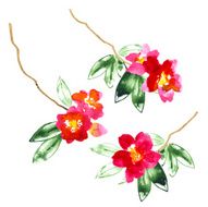 Collection of watercolor camellia flowers N3