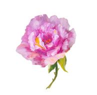 Rose isolated on white oil painting N6