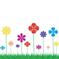 Background with a colorful flowers N5