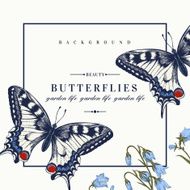 Card with butterflies and flowers N5