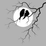 two birds N12