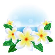 Summer background with hawaiian plumeria flowers and sea
