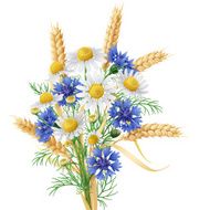 Wild Chamomile Cornflowers and Wheat Ears Bunch