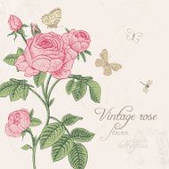 Vintage vector card with blossoming pink rose