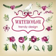 Watecolor Floral Set of Design Elements Including Rose Flowers N3