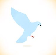 Vector white bird Pigeon dove