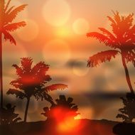 Sea sunset with island and palm trees N10