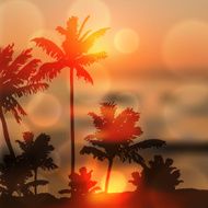 Sea sunset with island and palm trees N11