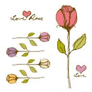Elegant Ink drawing red rose with love heart