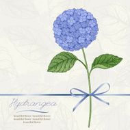 Card with hydrangea N2