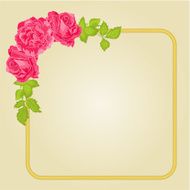 Golden frame with roses vector