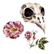 Isolated background with flowers Watercolor illustration N6