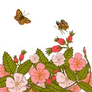 Vintage flowers background with butterflies
