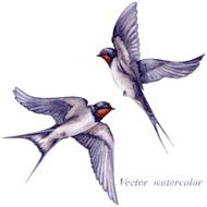 flying swallows N2