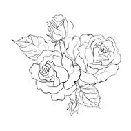 bouquet of roses N4