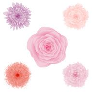 Set of beautiful colorful flowers floral collection vector set 1
