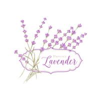 Label with lavender N2