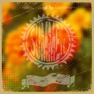 Card or invitation with retro background Floral pattern