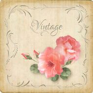 Vintage retro flowers roses postcard border frame N2