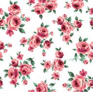 repetition of the rose N84