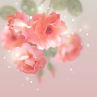 Shining vector flowers roses N2