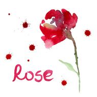 Rose flower watercolor illustration N4