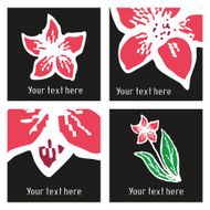 Set of vector stylish posters with hand drawn tattoo narcissus