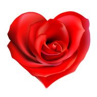 Rose Heart N6