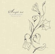 bindweed N4