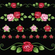 Vintage roses on the black