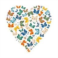 Love Butterflies N3