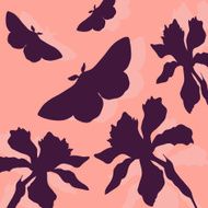 silhouettes of butterflies and narcissus