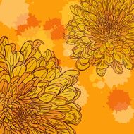 Floral card with chrysanthemum N6