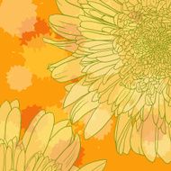 Floral card with chamomiles