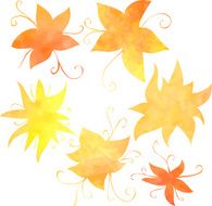set of flowers painted by watercolor N3