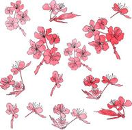 set of cherry blossoms painted by watercolor