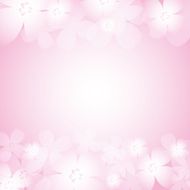 Beautiful pink flower background N4