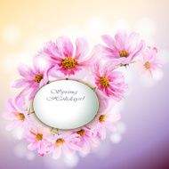 Cosmos flowers background N5