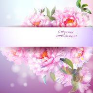 Peonies flowers background N4
