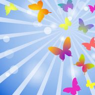 Vector butterflies on a blue sky background