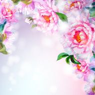 Peonies flowers background N5