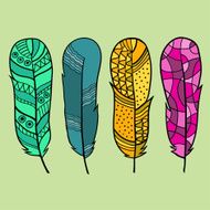 Set of four isolated hand drawn feather