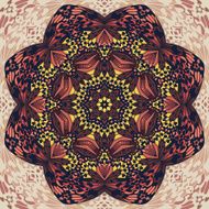 beautiful vector circular background N21