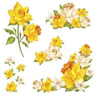 Gentle floral set of flower elements isolated N2